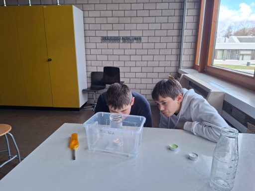 Zwei Jungen beugen sich über eine transparente Box auf einem Tisch. Zwei Jungen beugen sich über eine transparente Box auf einem Tisch.
